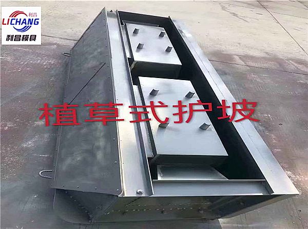 植草式護坡模具_技術(shù)與支持